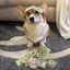 Coin image for 4UPVun1vw4HMgNDocPRWSzMMYAAGD2SXbD1rzSTYpump