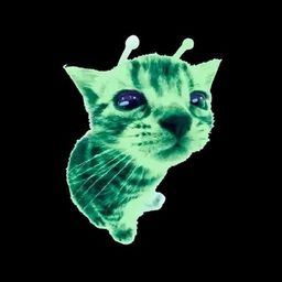 Coin image for 4UtNBNfKrLLZ778jjDnHpTi7XsWpr74Hp984dec2pump