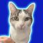 Coin image for 4VB5znMEyLq7QGrdDjXuGTKXGNyqvpa2eaxQK95esDYZ