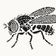 Coin image for 4Vur6RbGdWjhFsfULJx8z8ACfpFC9d2wMYaY43Srpump