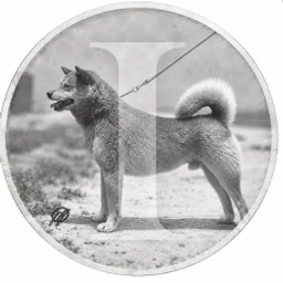 Coin image for 4Y9EBtyaEu2X2bw9Mu2gpveuFbkCSUnRWANv5yRypump