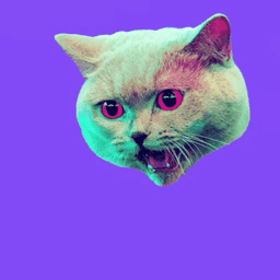 Coin image for 4YxQn34RDK8aDddp7YQMagT1NnBEUva6nZRAHapPpump