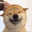 Coin image for 4Z3ZrbMw2kNWwaoMPwdgujsWqttZqJcxjGkeg8d2pump