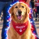 Coin image for 4aGPXmz9GcDvxC8UMuyRVYUnZAB3cMgwq9sxMdVVpump