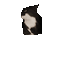 Coin image for 4aYcGy3RMAit3badsaY9KT7ZoACVkH5nHUbPtqUepump