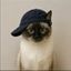 Coin image for 4bSoewL6o2P5JY7iLTC8frzLy1k6uq9rpZZPRAeUpump