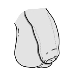 Coin image for 4d4Be8afaBxgAFnYCTeMpxCknSdpV5i5FvGzFDBCpump