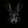 Coin image for 4dvFv9DN86vRwMkxWRxShRmPPVtereRjT4Ec38eLqXhJ