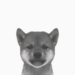 Coin image for 4eVHjTVGf4SqzPCSFUSgFMR2B3A9qoe8fqJSrNbmpump