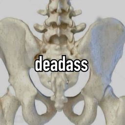 Coin image for 4ejePuuJD3MNmH7DUfrXUWD8a22pos5wK6S3MVPZpump