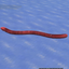 Coin image for 4eqLvkVje8oTNsjsXzksuZbk1kgcu92purTFBuwhpump