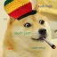 Coin image for 4ezBSrcWRycCEsUvkjWgfY8briYLZcskRfBLCPZEpump