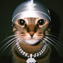 Coin image for 4fXSPQTZAt2WCSGbbwa4DvXZGLHPRTwbD3XiZBnhpump