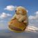 Coin image for 4fia9egmcGpji6rbR8nuefA9NDFmNhnk3d1MRrUFpump
