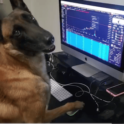 Coin image for 4gGqyCAmWagDVi28dfvePcnKdfML4JsWnqAd7CL7pump