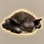 Coin image for 4jgXNSTohLvdf6mL7baceaiqJwr1XsTLoQy714NMpump