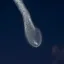 Coin image for 4nfqDjP1twFWEYdUg4gAo2PG2uM4kyMu4MbKJGSkpump