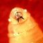 Coin image for 4oT9sUJahJJSCw2rM4HQWk1RLxRoN6FvbNeVkExEPRbZ