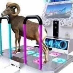 Coin image for 4p1KveGzAAmFu5Ggue3pXHanTKXK8ZJQXrhHpRT4pump