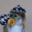 Coin image for 4pFA5PxidTXrXmF9NgzNhBb45VswGfQwvEzFv9rTay5C