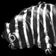 Coin image for 4pGzEnYp9YgWyg4EyxnaetoLrWWX5TjgDRd1zF5fcqC6