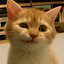 Coin image for 4u21qDb4aoGMywVFDeYqYhFPkQusLCSp2Hwhiys76iwS