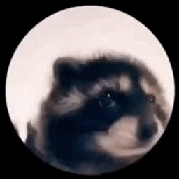 Coin image for 4uPfQn4g3Cwp8ikbUHG1RLfyHt3z9ir7RpUhUMHCpump