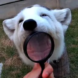 Coin image for 4uqp2CZ3uwt5BRyuQpxad6kxNVCVnPvJs8TUn2RTpump