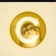 Coin image for 4utwPJ6EnWW21ZYDJVZbsKzeAj3JNkqSmL5zVEeopump