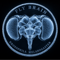 Coin image for 4vEvXcuHrtW9ptH6PgrwT9tH1jYMS6FXMcNWqGEnpump