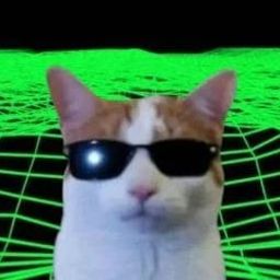 Coin image for 4wpzvDfNaDALkzYk3WHTtCzAwWWWEFNbpRuRhU4Jpump