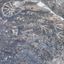 Coin image for 4wtPeMnEAFdCqF66NWgVrLfHKA94BUkaxwccih9ppump