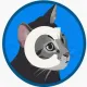 Coin image for 4yjRZ1V2eKvvSbnyqMJmAgdcF2H4dSj8PNuqurBkpump