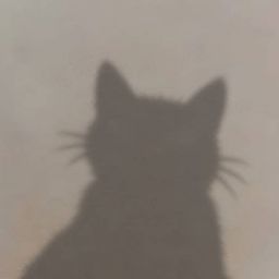 Coin image for 4zASGShoQ5p2YiQDb5UqEaeHuwgdwxMfsKKxMXan1soH