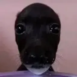 Coin image for 4zx49m2aHaghsFNYqHvyLGGKVX9ZTxZZbUPd7EdAwTCS