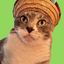 Coin image for 53Fnbzh9hVK8EH8tUyZqtvvs93bk7eEcATdp5imDpump