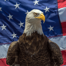 Coin image for 54Drwkb3AVnJkfZJzoUuzwhaEWwtNETRniXFsx7wpump