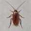 Coin image for 54N2r6fAK2kotz2YK4rUwnX6avQHqxzDMcYarwcxdQFm