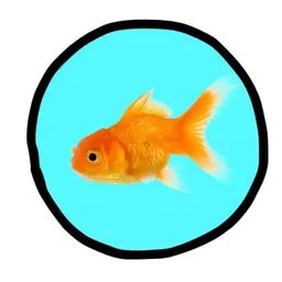 Coin image for 56StyrekjPraaPWr5VDUKFmmru5jh4cLEisVdMZ8pump