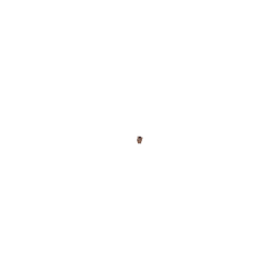 Coin image for 57FrESgBottAhwWFXgpMek49Vi5hd1HBeyWxnvMppump
