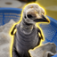 Coin image for 57s5GoTDTqj8KZHi6ZvBu3xBvLP13EViimyRPet35juX