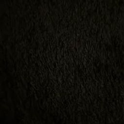 Coin image for 583TurkQDubBxY5GVCSkVGMnSbvftBGe5YHvwuEVpump