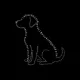 Coin image for 59ByzCU6L7eQSVDk4UXca5dvwMtqu1fh2HMTSZ5iodog