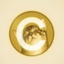 Coin image for 59GkQvLfrX4vyfWqiYDCKe5kKWtHKaHEV6SKPeQSpump
