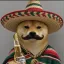 Coin image for 5B5jSNRZvSXX9R5DyYeAMixoZpVUgHpMYxmtoiRXpump