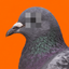 Coin image for 5Bm9vdh6jHFrsFE4ZEJB1gTzGCCKGH5U4CgSQuEmYNHT