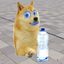 Coin image for 5Bo2xfqrRyfTj5SYypddWtZnE2jfKEUr8MHrF3F7pump