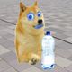 Coin image for 5Bo2xfqrRyfTj5SYypddWtZnE2jfKEUr8MHrF3F7pump
