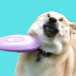 Coin image for 5D2WFKTKP3TZLERxNLzk98c9Py5skBbzZ4BruBzEpump