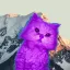 Coin image for 5DFCCkXBYTdG8NaBZp5GhULXYUgZZQy5ErHN5HxLpump